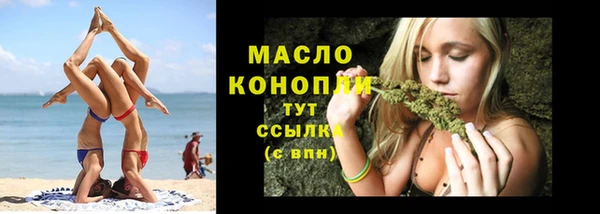 ешки Горняк