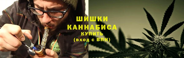 таблы Гусев
