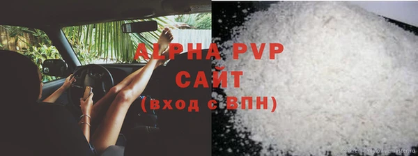 таблы Гусев
