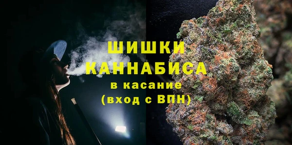 прущие грибы Горнозаводск