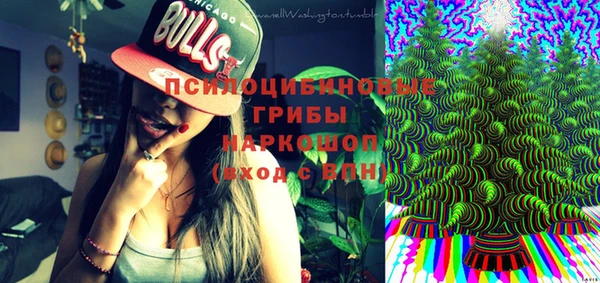 прущие грибы Горнозаводск